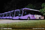 Governo do Estado do Pará  na cidade de Botucatu, São Paulo, Brasil, por Alexandre Mizael Detoni. Número da foto: #12903412.