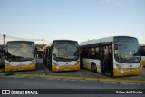 SMTUC - Serviços Municipalizados de Transportes Urbanos de Coimbra 306 na cidade de Coimbra, Coimbra, Portugal, por César de Oliveira. Número da foto: #12903491.