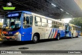 Vipol Transportes Rodoviários - TIPBUS - Transportes Intermunicipal 36.164 na cidade de São Paulo, São Paulo, Brasil, por Cauan Ferreira. Número da foto: #12904980.