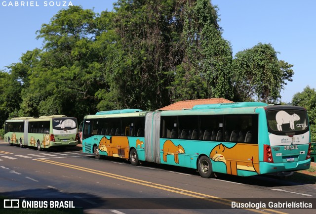 Parque Nacional do Iguaçu COTIA na cidade de Foz do Iguaçu, Paraná, Brasil, por Busologia Gabrielística. Número da foto: #12907876.