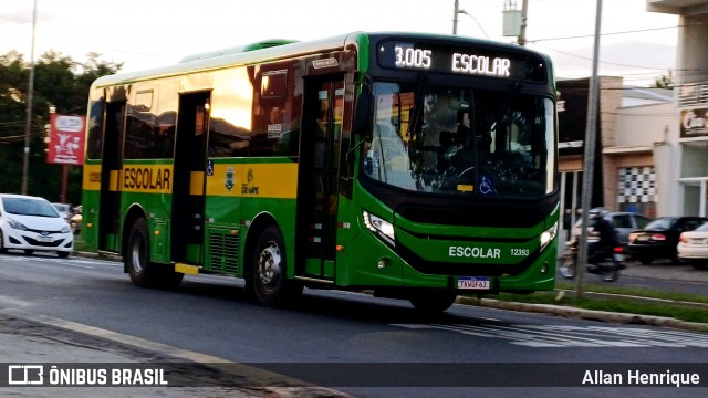Transportes Capellini 12393 na cidade de Paulínia, São Paulo, Brasil, por Allan Henrique. Número da foto: #12905571.