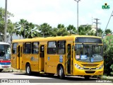 AVP - Auto Viação Paraíso 5309 na cidade de Aracaju, Sergipe, Brasil, por Urban Matos. Número da foto: #12906872.