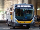 Circular Santa Luzia > Protetora Transportes 736 na cidade de São José do Rio Preto, São Paulo, Brasil, por Italo Jacob Busologo BR. Número da foto: #12906071.