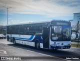Inversiones La Tapachula 307 na cidade de Pozos, Santa Ana, San José, Costa Rica, por Sebas Gamboa. Número da foto: #12907162.