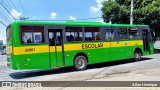 Transportes Capellini 32901 na cidade de Paulínia, São Paulo, Brasil, por Allan Henrique. Número da foto: #12905556.