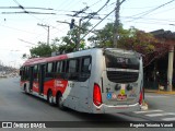Himalaia Transportes > Ambiental Transportes Urbanos 4 1517 na cidade de São Paulo, São Paulo, Brasil, por Rogério Teixeira Varadi. Número da foto: #12906428.