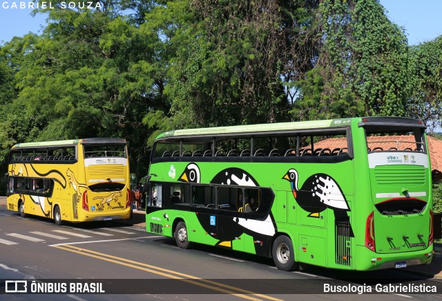Parque Nacional do Iguaçu JACUTINGA na cidade de Foz do Iguaçu, Paraná, Brasil, por Busologia Gabrielística. Número da foto: #12908563.