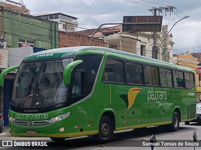 Pássaro Verde 11095 na cidade de Ponte Nova, Minas Gerais, Brasil, por Samuel Tomás de Souza. Número da foto: #12909977.
