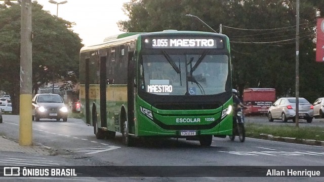Transportes Capellini 12358 na cidade de Paulínia, São Paulo, Brasil, por Allan Henrique. Número da foto: #12910342.