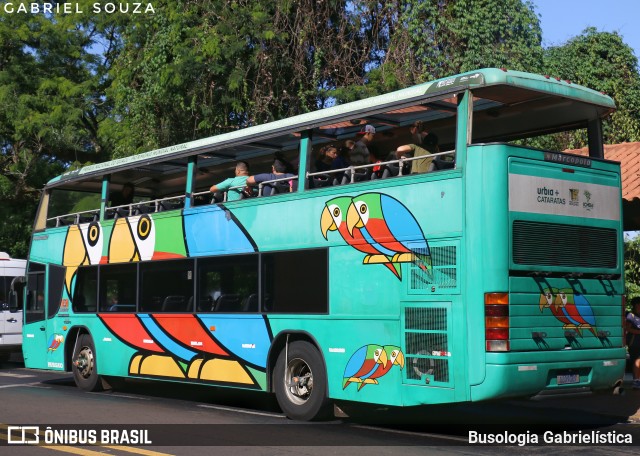 Parque Nacional do Iguaçu PAPAGAIO na cidade de Foz do Iguaçu, Paraná, Brasil, por Busologia Gabrielística. Número da foto: #12910754.