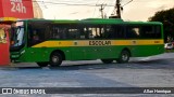 Transportes Capellini 32867 na cidade de Paulínia, São Paulo, Brasil, por Allan Henrique. Número da foto: #12908497.