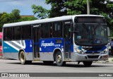 Auto Ônibus Fagundes RJ 101.119 na cidade de Niterói, Rio de Janeiro, Brasil, por Luiz Petriz. Número da foto: #:id.