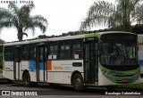 Rápido Araguaia 50361 na cidade de Goiânia, Goiás, Brasil, por Busologia Gabrielística. Número da foto: #12908559.