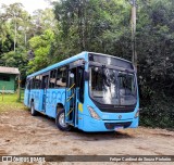 FAOL - Friburgo Auto Ônibus 493 na cidade de Nova Friburgo, Rio de Janeiro, Brasil, por Felipe Cardinot de Souza Pinheiro. Número da foto: #:id.