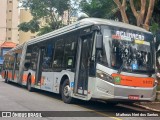 TRANSPPASS - Transporte de Passageiros 8 0172 na cidade de São Paulo, São Paulo, Brasil, por Matheus Neri dos Santos. Número da foto: #12908393.