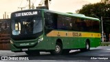 Transportes Capellini 12371 na cidade de Paulínia, São Paulo, Brasil, por Allan Henrique. Número da foto: #12908498.