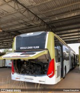 Ônibus Particulares 1729 na cidade de Brasília, Distrito Federal, Brasil, por Kayron Gonçalves. Número da foto: #12909723.