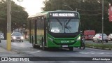 Transportes Capellini 12358 na cidade de Paulínia, São Paulo, Brasil, por Allan Henrique. Número da foto: #12910342.