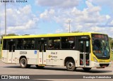 Viação Pioneira 229504 na cidade de Brasília, Distrito Federal, Brasil, por Busologia Gabrielística. Número da foto: #12909652.