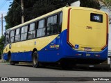 Trancid - Transporte Cidade de Divinópolis 264 na cidade de Divinópolis, Minas Gerais, Brasil, por Igor Policarpo. Número da foto: #12910595.