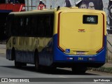 Trancid - Transporte Cidade de Divinópolis 264 na cidade de Divinópolis, Minas Gerais, Brasil, por Igor Policarpo. Número da foto: #12910613.