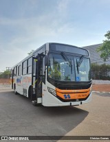 Colitur Transportes Rodoviários RJ 116.012 na cidade de Botucatu, São Paulo, Brasil, por Vinicius Gomes. Número da foto: #12910024.