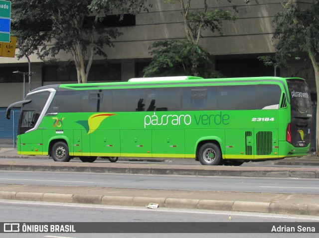 Pássaro Verde 23184 na cidade de Belo Horizonte, Minas Gerais, Brasil, por Adrian Sena. Número da foto: #12912406.