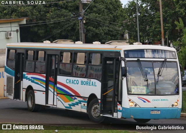 Chaco Boreal 8230 na cidade de Foz do Iguaçu, Paraná, Brasil, por Busologia Gabrielística. Número da foto: #12913581.