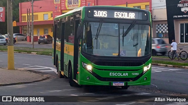 Transportes Capellini 12393 na cidade de Paulínia, São Paulo, Brasil, por Allan Henrique. Número da foto: #12912122.