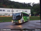 Pássaro Verde 11101 na cidade de Itabirito, Minas Gerais, Brasil, por Arthur Soares. Número da foto: #12911173.