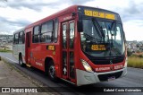 Vianel > Auto Viação Pioneira 02078 na cidade de Belo Horizonte, Minas Gerais, Brasil, por Gabriel Costa Guimarães. Número da foto: #12911416.
