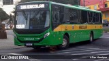 Transportes Capellini 12350 na cidade de Paulínia, São Paulo, Brasil, por Allan Henrique. Número da foto: #:id.