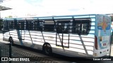 Rota Sol > Vega Transporte Urbano 35728 na cidade de Fortaleza, Ceará, Brasil, por Lucas Caetano. Número da foto: #12912253.