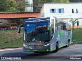 Pássaro Verde 24186 na cidade de Itabirito, Minas Gerais, Brasil, por Arthur Soares. Número da foto: #12911805.