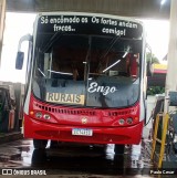 Transporte Rural S/N na cidade de Coroados, São Paulo, Brasil, por Paulo Cesar. Número da foto: #12911807.