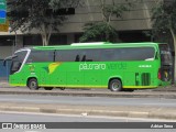 Pássaro Verde 23184 na cidade de Belo Horizonte, Minas Gerais, Brasil, por Adrian Sena. Número da foto: #12912406.