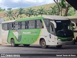 Pássaro Verde 11096 na cidade de Ponte Nova, Minas Gerais, Brasil, por Samuel Tomás de Souza. Número da foto: #12911267.