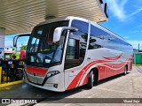 Autobuses sin identificación - Guatemala  na cidade de Limón, Limón, Limón, Costa Rica, por Yliand Sojo. Número da foto: #12912518.