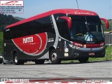 Pantur Transportes 1182 na cidade de Aparecida, São Paulo, Brasil, por Paulo Rafael Peixoto. Número da foto: #12912854.