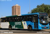 Viação Capital do Oeste 6533 na cidade de Cascavel, Paraná, Brasil, por Busologia Gabrielística. Número da foto: #12913078.