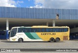 Empresa Gontijo de Transportes 17325 na cidade de Caruaru, Pernambuco, Brasil, por Lenilson da Silva Pessoa. Número da foto: #12912600.