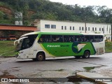 Pássaro Verde 11092 na cidade de Itabirito, Minas Gerais, Brasil, por Arthur Soares. Número da foto: #12911585.
