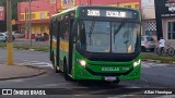 Transportes Capellini 12393 na cidade de Paulínia, São Paulo, Brasil, por Allan Henrique. Número da foto: #12912122.