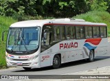 Turismo Pavão 20203 na cidade de Araçariguama, São Paulo, Brasil, por Flavio Alberto Fernandes. Número da foto: #:id.