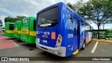 Transportes Capellini 12016 na cidade de Paulínia, São Paulo, Brasil, por Allan Henrique. Número da foto: #12915519.