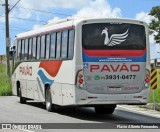 Turismo Pavão 20203 na cidade de Araçariguama, São Paulo, Brasil, por Flavio Alberto Fernandes. Número da foto: #:id.