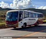 Rouxinol 2470 na cidade de Nova Lima, Minas Gerais, Brasil, por Eduardo Vieira. Número da foto: #12914181.