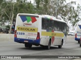 Translider 1389 na cidade de Caruaru, Pernambuco, Brasil, por Lenilson da Silva Pessoa. Número da foto: #12915470.