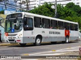 Borborema Imperial Transportes 179 na cidade de Recife, Pernambuco, Brasil, por Wendel Miguel /MIGUELPHOTOBUS. Número da foto: #12915540.