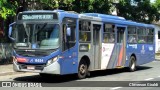 Transportes Capellini 19.024 na cidade de Campinas, São Paulo, Brasil, por Cleverson Giraldi. Número da foto: #12915090.
